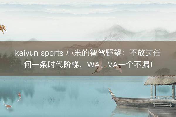kaiyun sports 小米的智驾野望:不放过任何一条时代阶梯,WA、VA一个不漏!